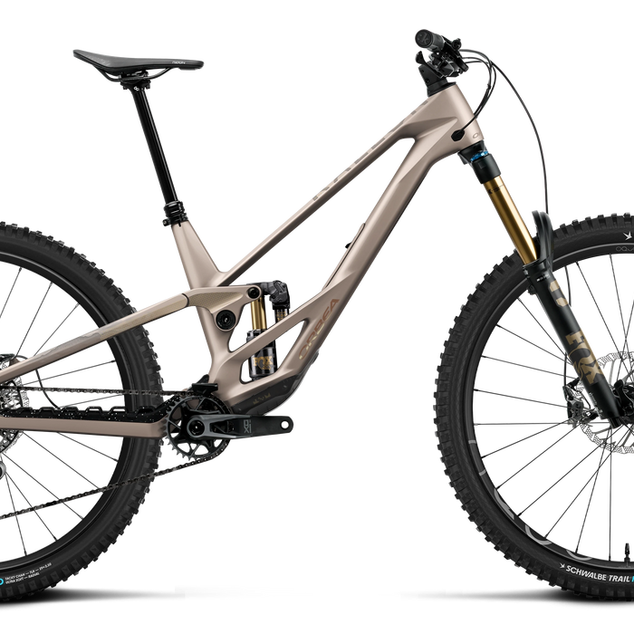 Orbea RALLON E-LTD Mountain Bike in Nickel (Matt) - Nickel Chrome (Gloss), side view