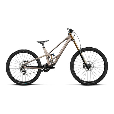Orbea RALLON D-LTD Mountain Bike in Nickel (Matt) - Nickel Chrome (Gloss), side view