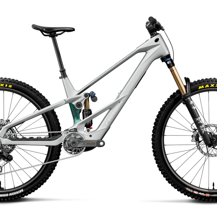 Orbea WILD LT M-LTD RS Mountain Bike in Smooth Silver (Matt) - Escape Green C. View (Gloss), side view