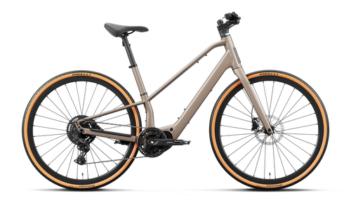 Orbea CARPE 25 Urban & Active Bike in Nickel, side view