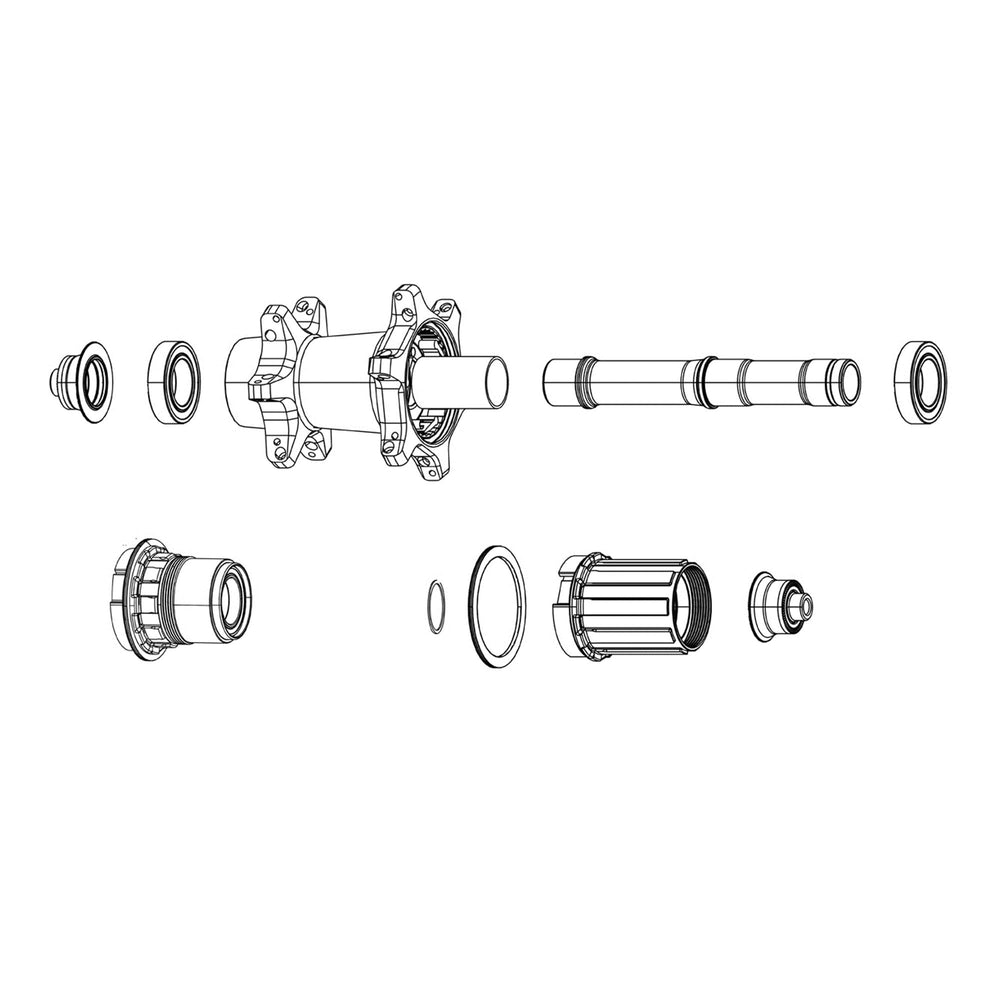 Zipp Spare - Hub Freehub Kit Cognition V2 Nsw Disc Brake / Rim Brake Campagnolo