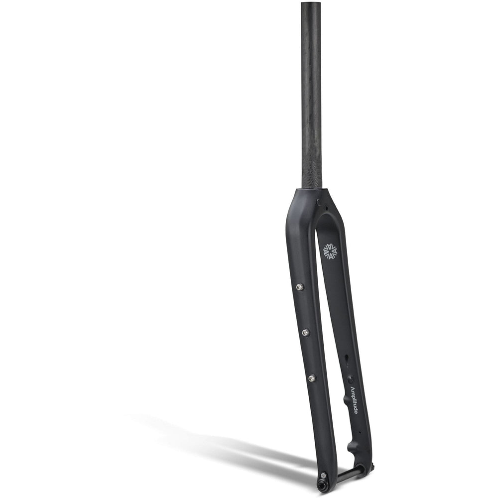 Amplitude G200 Carbon Gravel Fork 1-1/8 inch, 12mm Thru Axle, Black - image 1