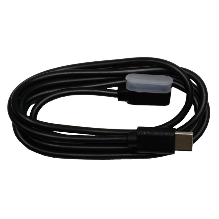 Campagnolo WRL Charger and Cables