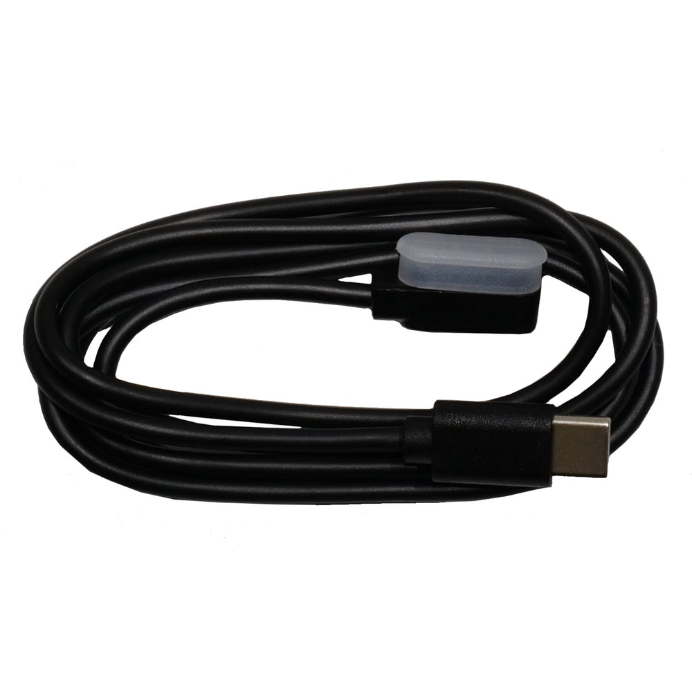 Campagnolo WRL Charger and Cables