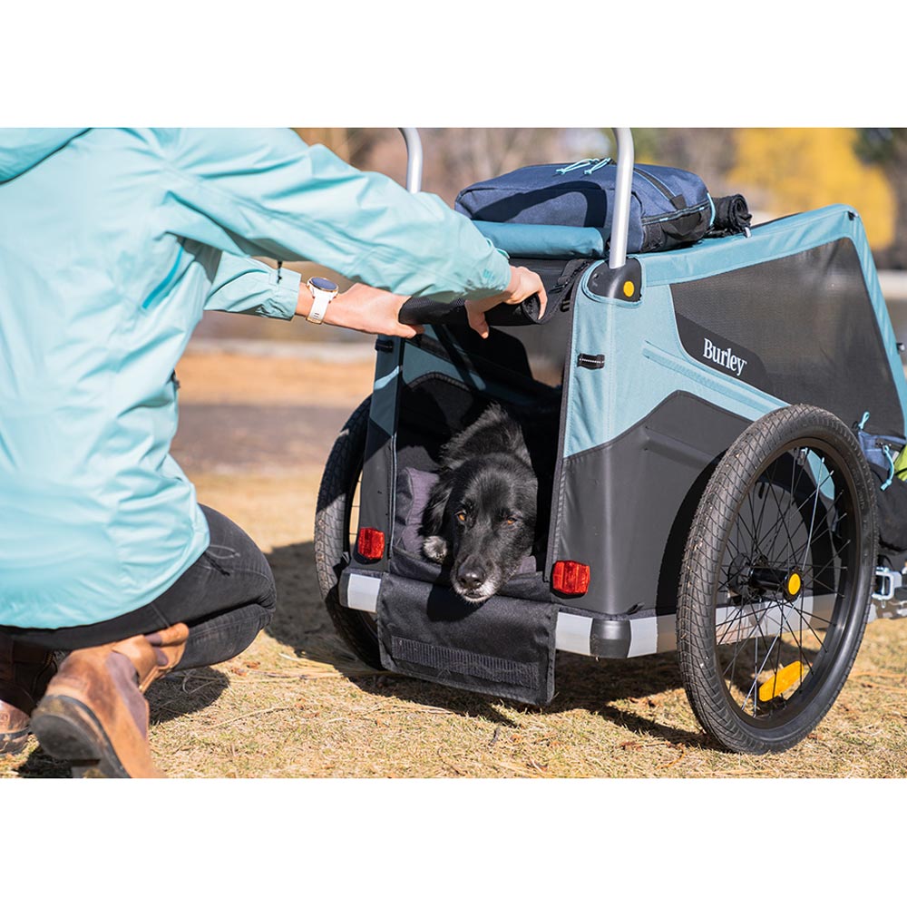Burley Bark Ranger