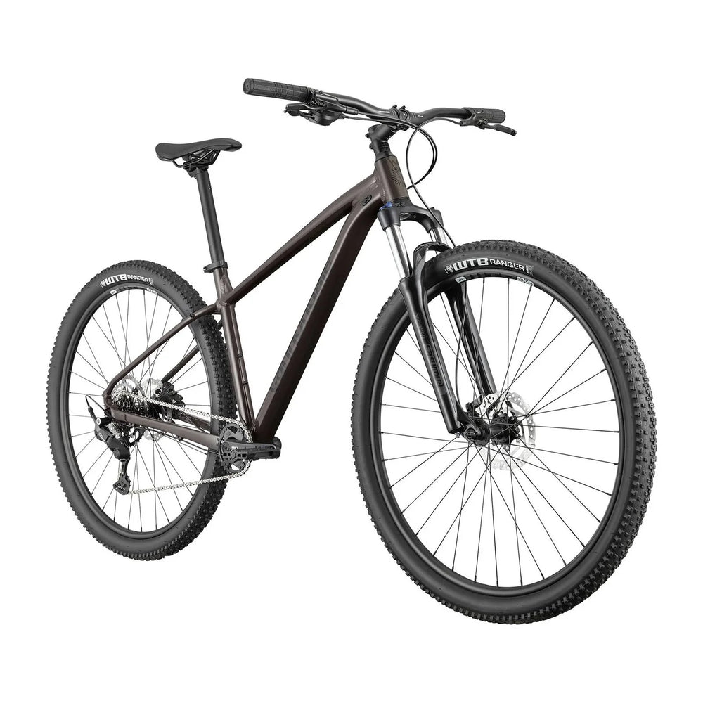 2025 Cannondale Trail 6 Hardtail Mountain Bike in Smoke Black