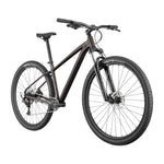 2025 Cannondale Trail 6 Hardtail Mountain Bike in Smoke Black