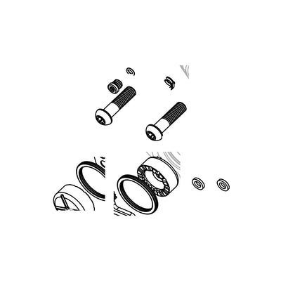 Sram Spare - Disc Brake Caliper Piston Service Kit - (Includes 2 Pistons 2 Piston Bolts Seals Bleed Screw & O-Rings) - Rival AXS D1 2021: size (SRAM spare parts catalogue drawing)