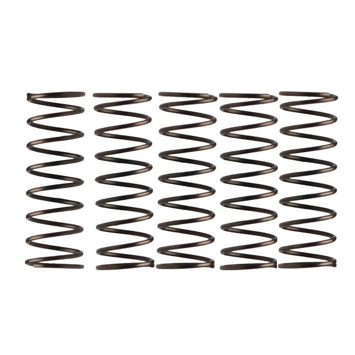 Campagnolo Freehub Pawl Springs
