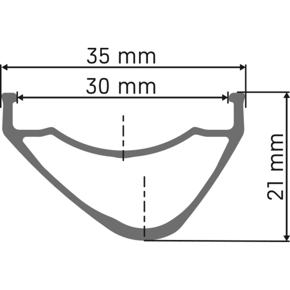 DT Swiss EX 441 SBWT disc-specific
