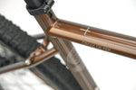Genesis Croix De Fer 10 Steel Gravel Bike in Brown