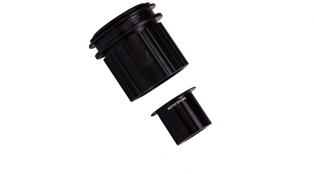 DT Swiss Hybrid Steel Ratchet freehub conversion kit, Shimano MICRO SPLINE 12-speed, 142