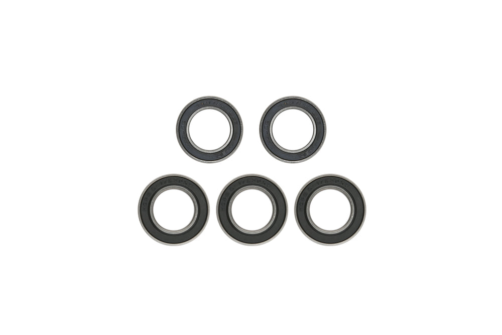 Hope Pro 4 Rear Hub Bearing Kit - MicroSpline - 2021 Onwards Silver