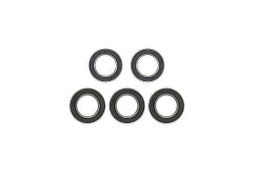 Hope Pro 4 Rear Hub Bearing Kit - MicroSpline - 2021 Onwards Silver