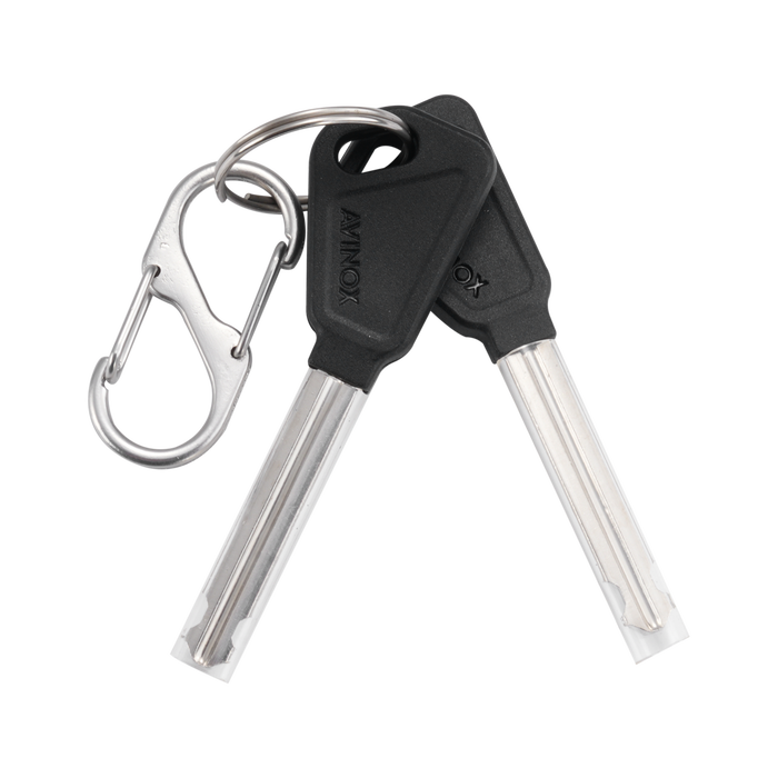 Avinox Battery Lock Key (8P) - fits TL