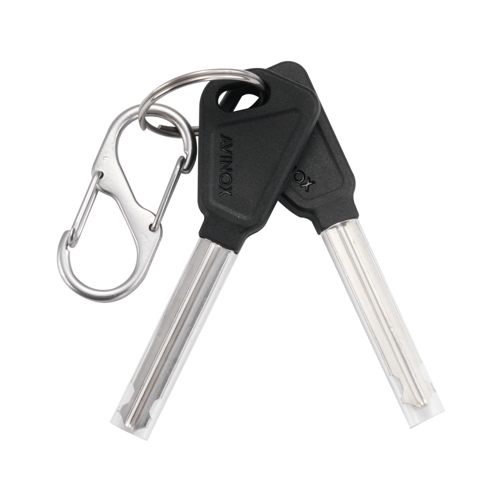 Avinox Battery Lock Key (8P) - fits TL