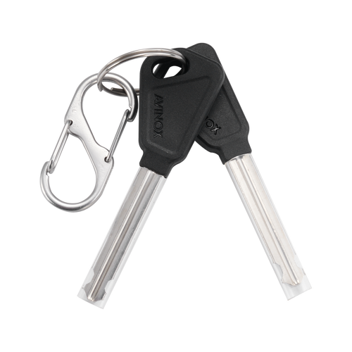 Avinox Battery Lock Key (8P) - fits TL