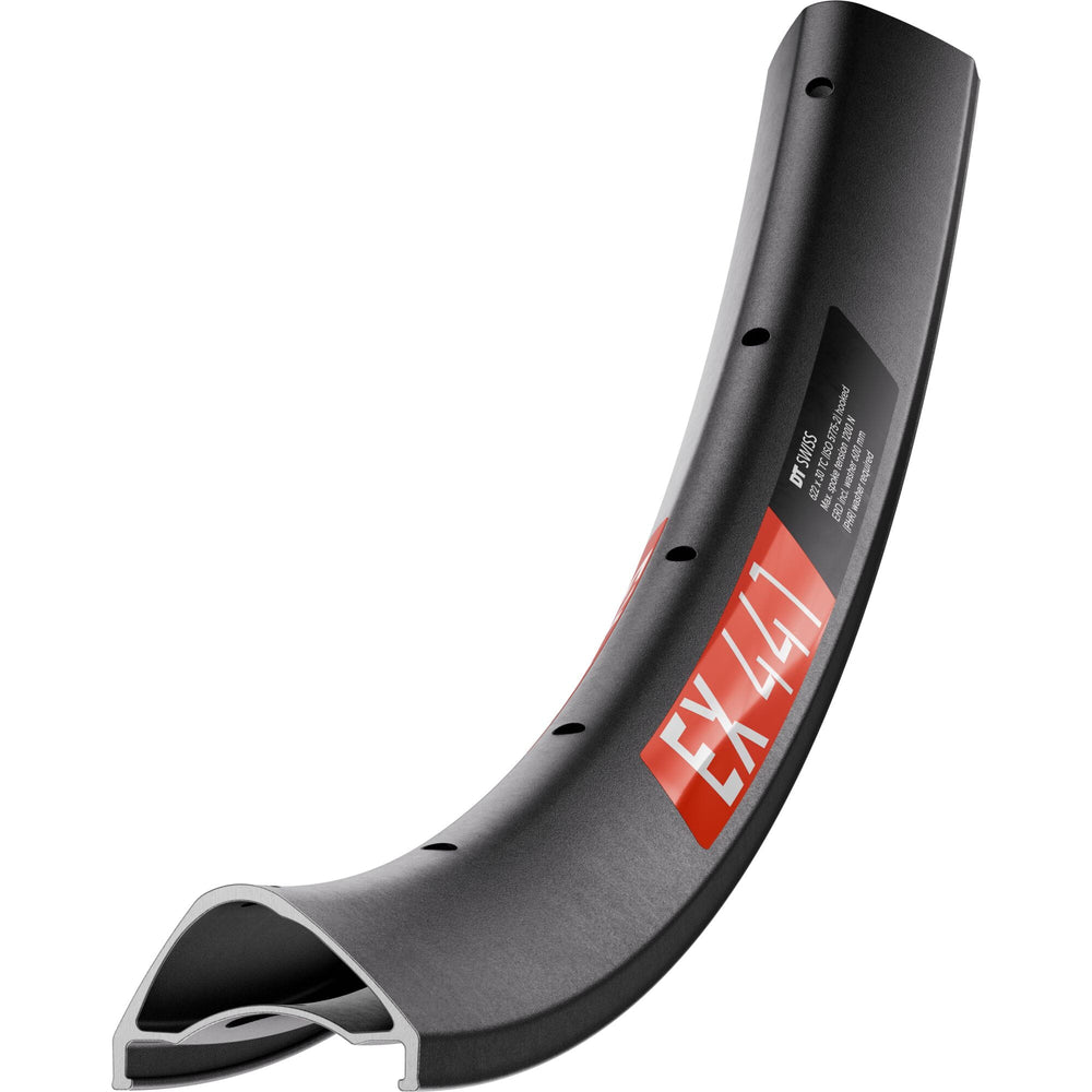 DT Swiss EX 441 SBWT disc-specific - 28 hole / 29 inches