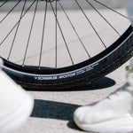 Motion Big Apple RaceGuard 20x2.0" Blk/Reflective