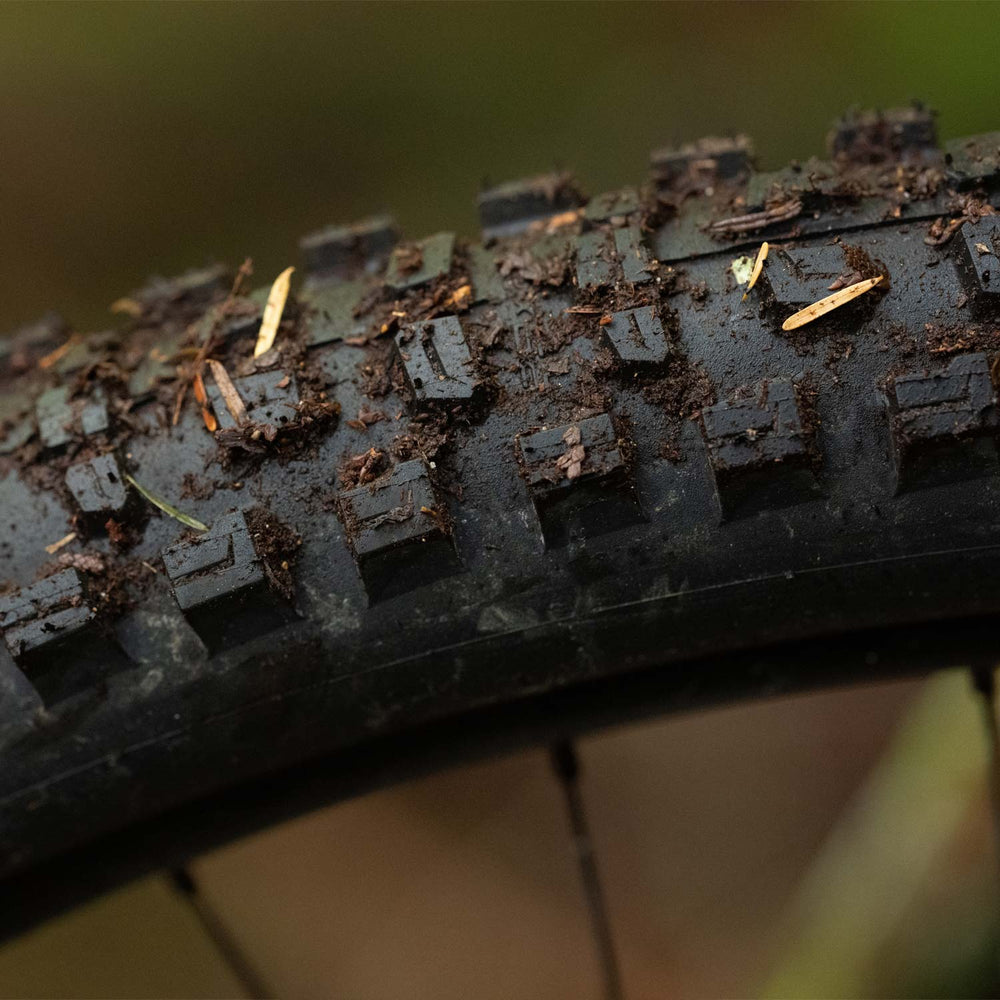 Schwalbe Romy Trail Pro Folding TLR