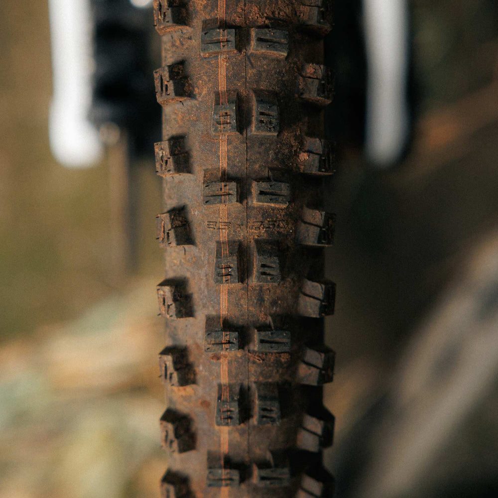 Schwalbe Tacky Chan Gravity Pro Radial Ultra Soft Folding TLR