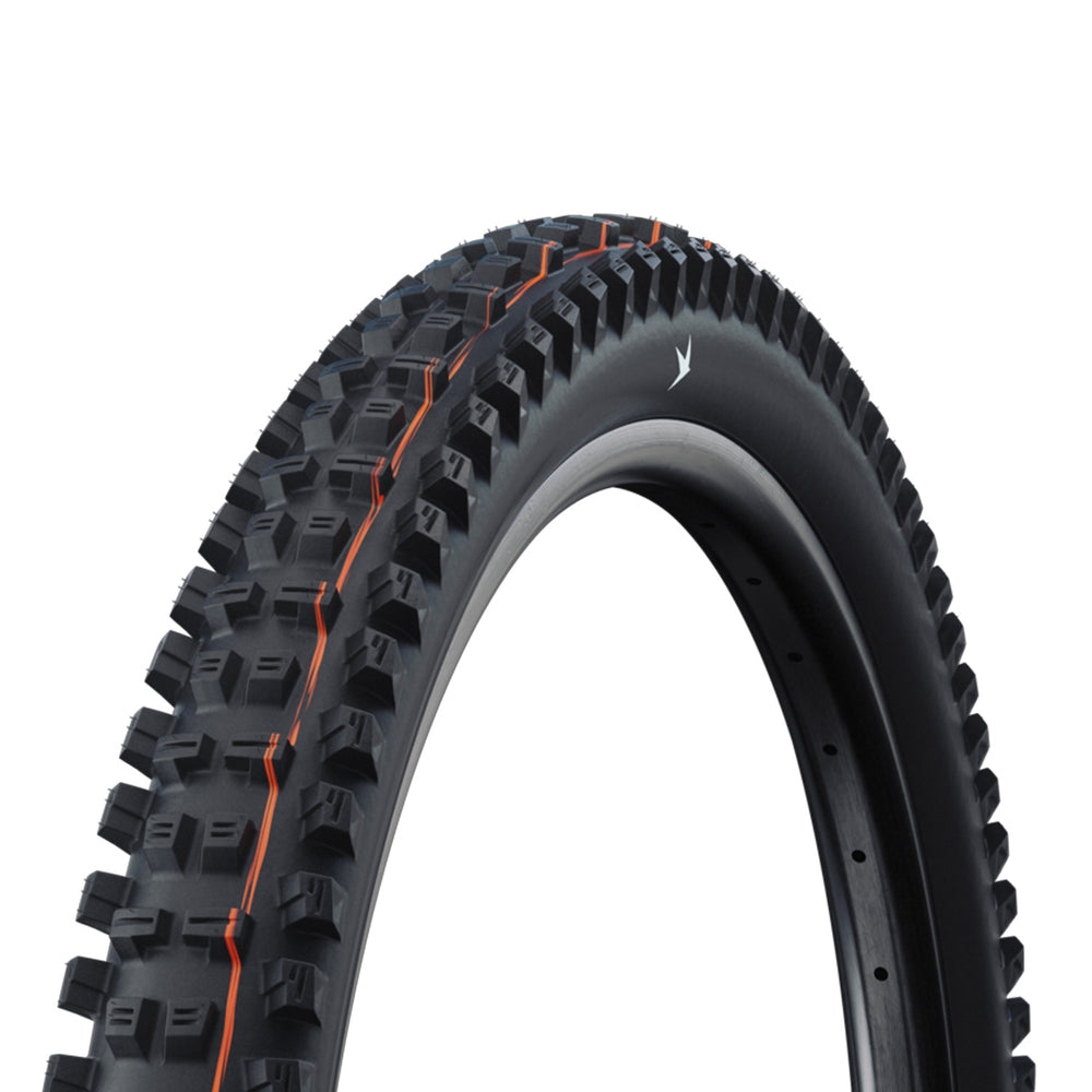 Schwalbe Tacky Chan Trail Pro Radial Soft Folding TLR