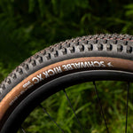 Schwalbe Rick XC Speedgrip Folding TLE