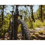 Schwalbe Smart Sam Plus DD GreenGuard 29 Inch Tyre in Black