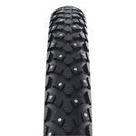 Schwalbe Marathon Winter Raceguard