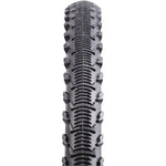 TYRE Nutrak Asteroid