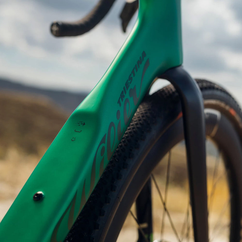 Wilier Rave SLR ID2 GRX Di2 Graff Aero Gravel Bike In Green
