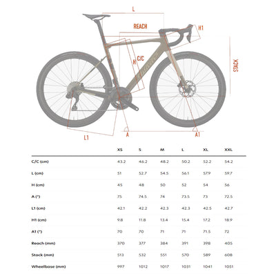 Wilier Rave SL Frameset In Black/Silver