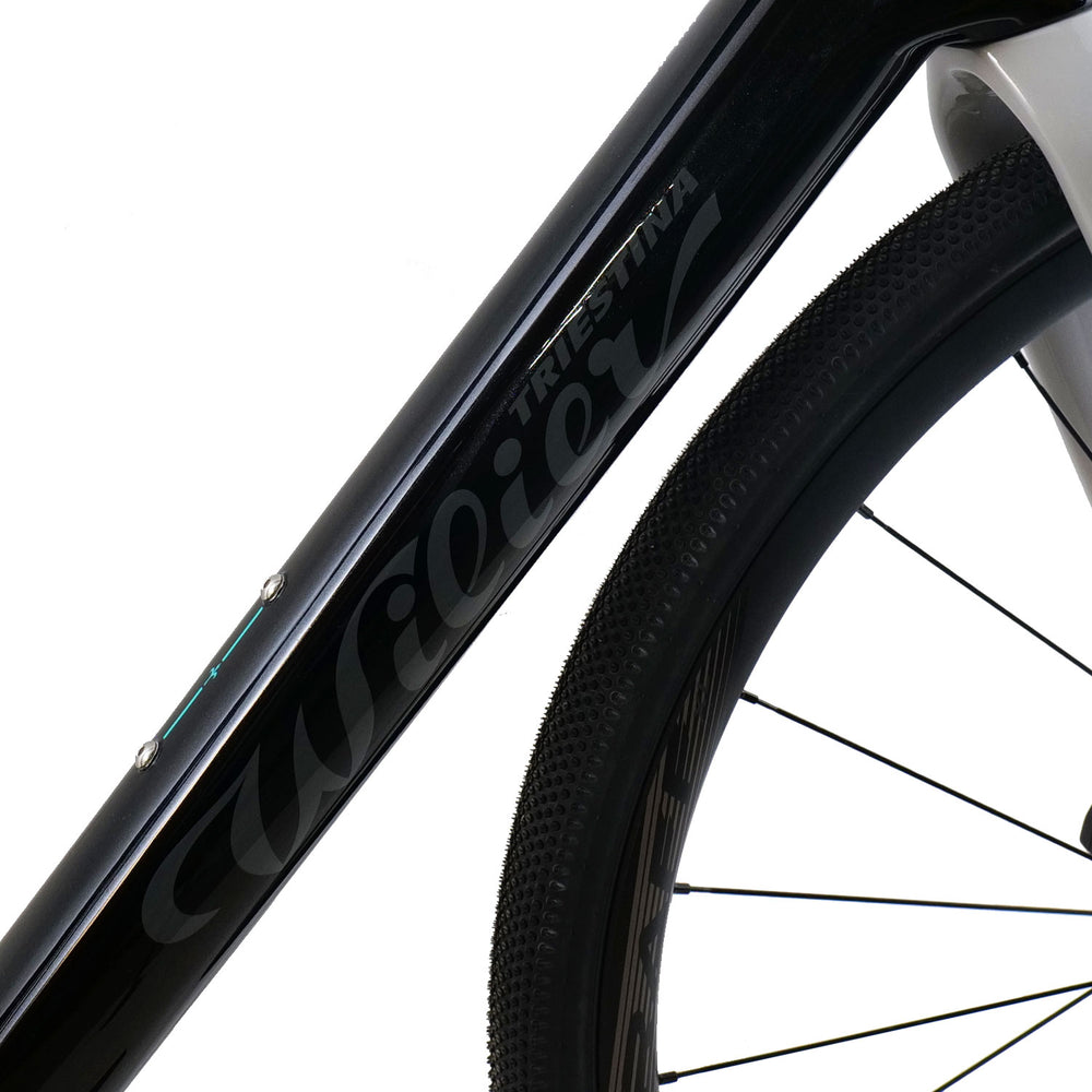 Wilier Rave SL Frameset In Black/Silver