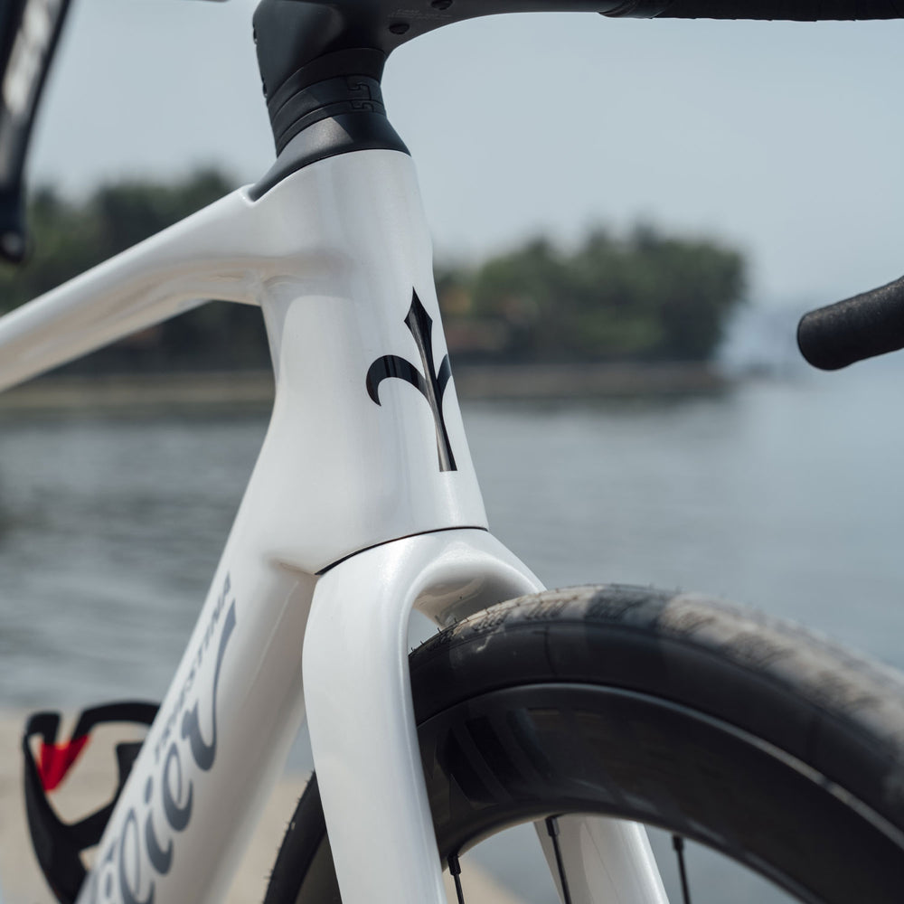 Wilier Rapida Frameset In Weekend White