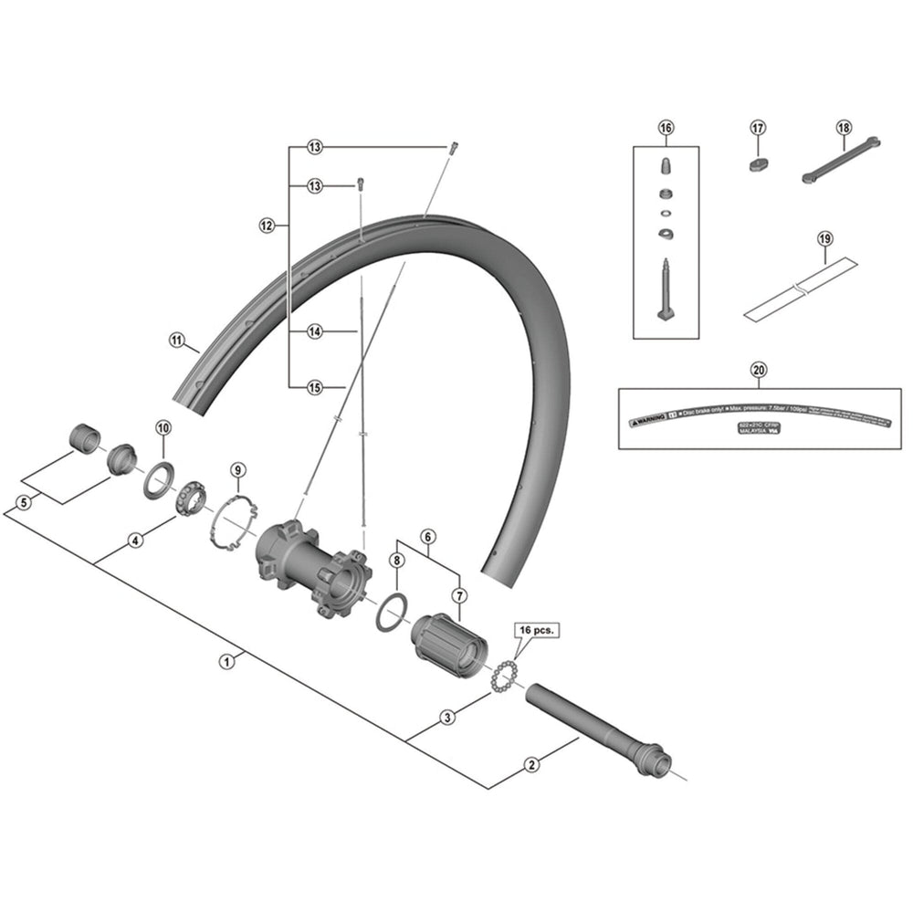 Shimano WH-R8170-C36-TL-F spoke, 286 mm